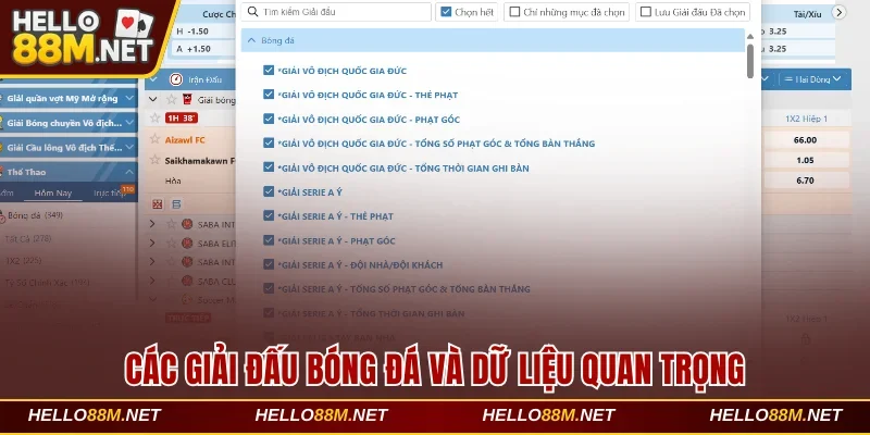 Các Giải Đấu Bóng Đá Và Dữ Liệu Quan Trọng Cần Biết Đến