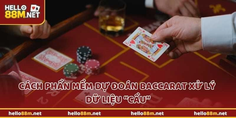 Cách phần mềm dự đoán baccarat xử lý dữ liệu “cầu”