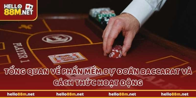 Tổng quan về phần mềm dự đoán baccarat và cách thức hoạt động